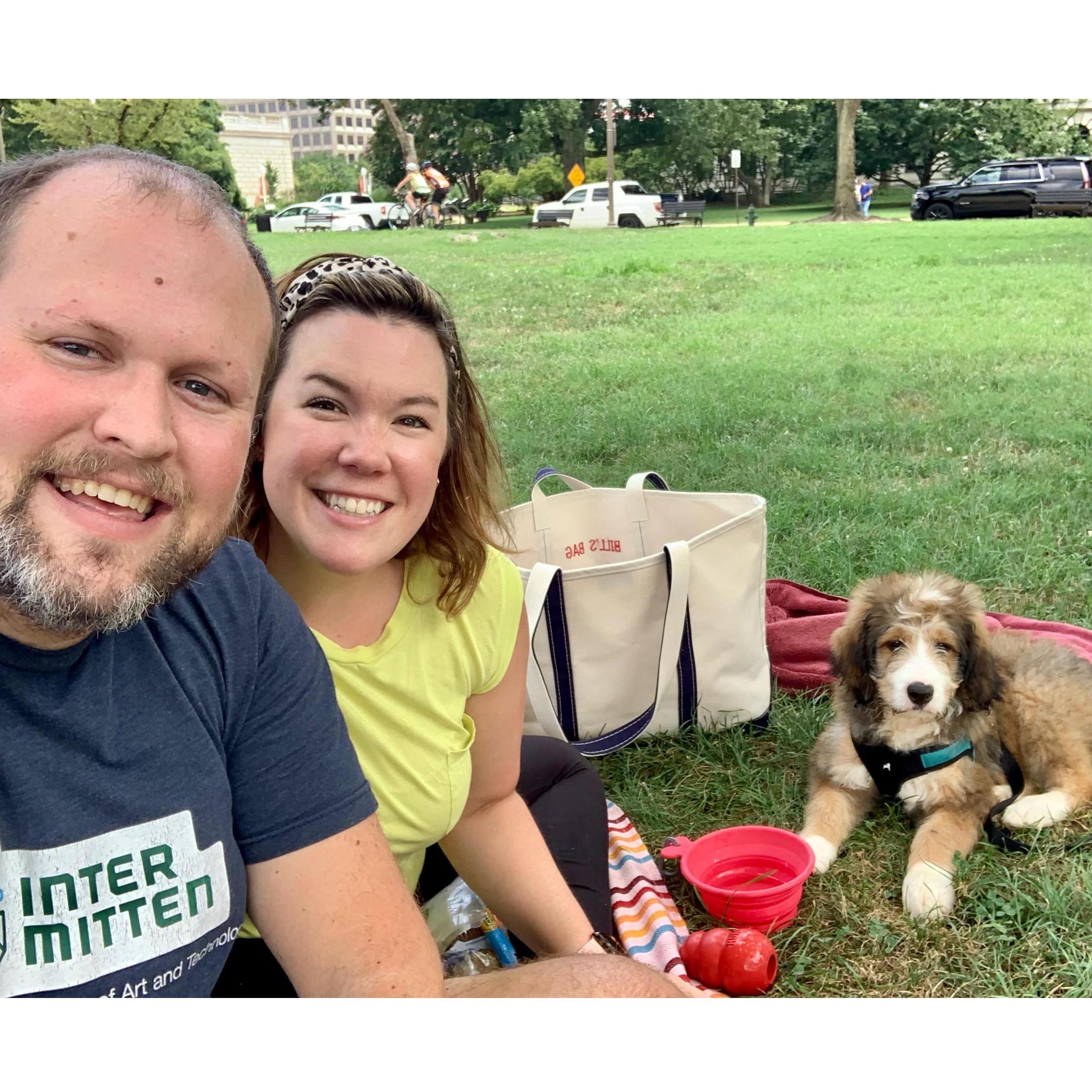 Picnicking on the National Mall 2020