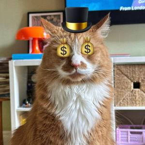Honeymoon Fund