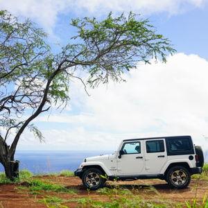 4x4 Jeep Rental in Lana'i