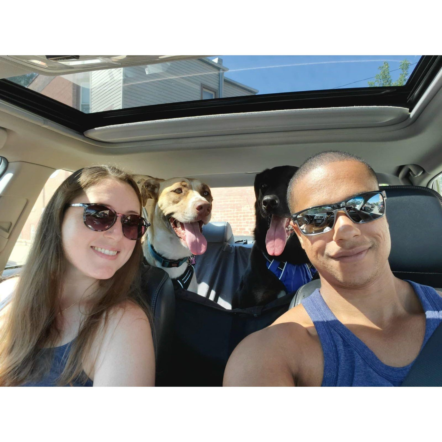 Road tripping with the pups.