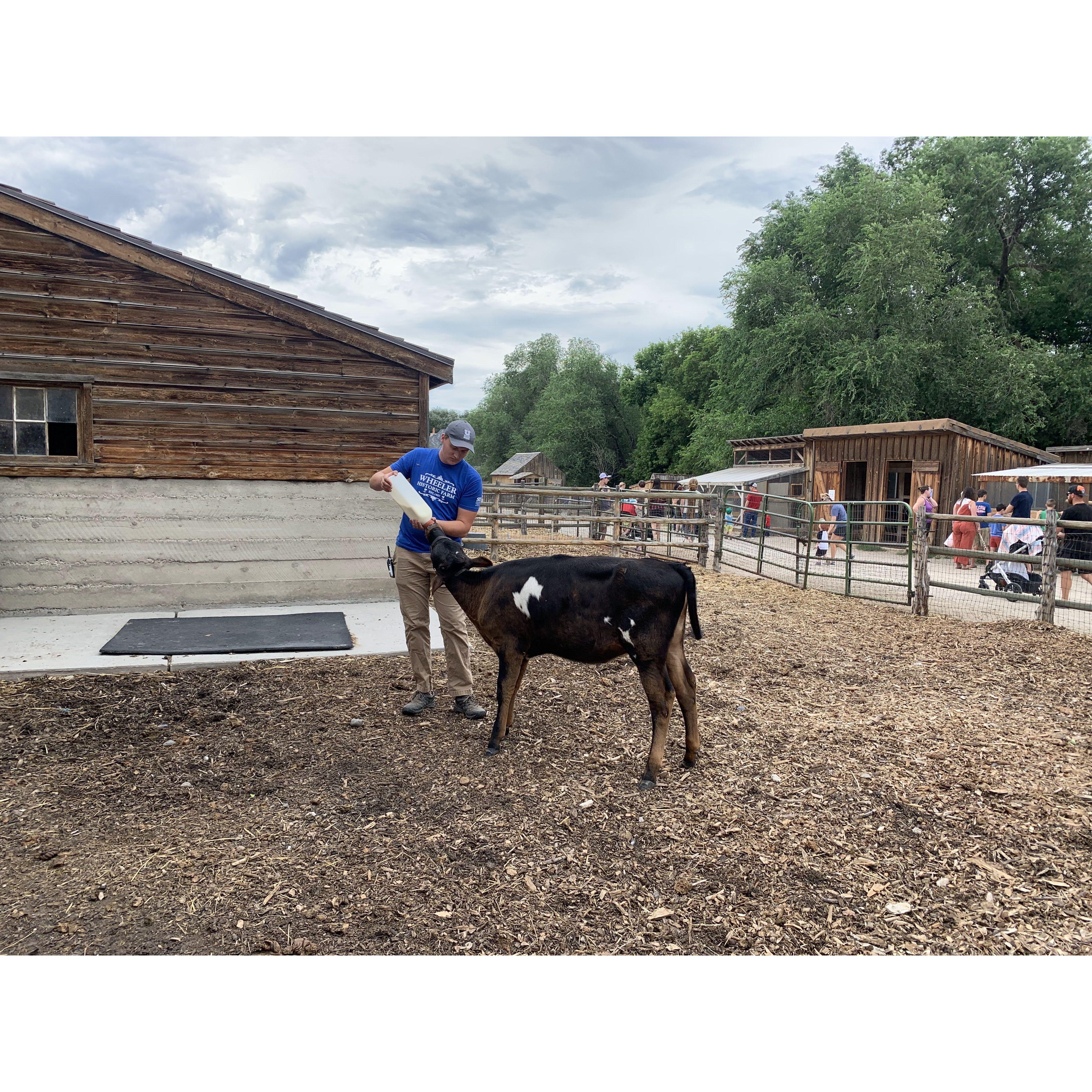 July 24th, 2022. Daniel feeding Audrey at Wheeler Farm!