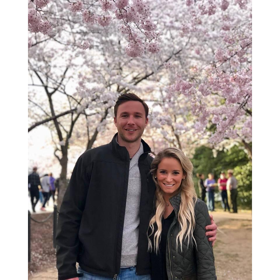 DC Cherry Blossoms 2019