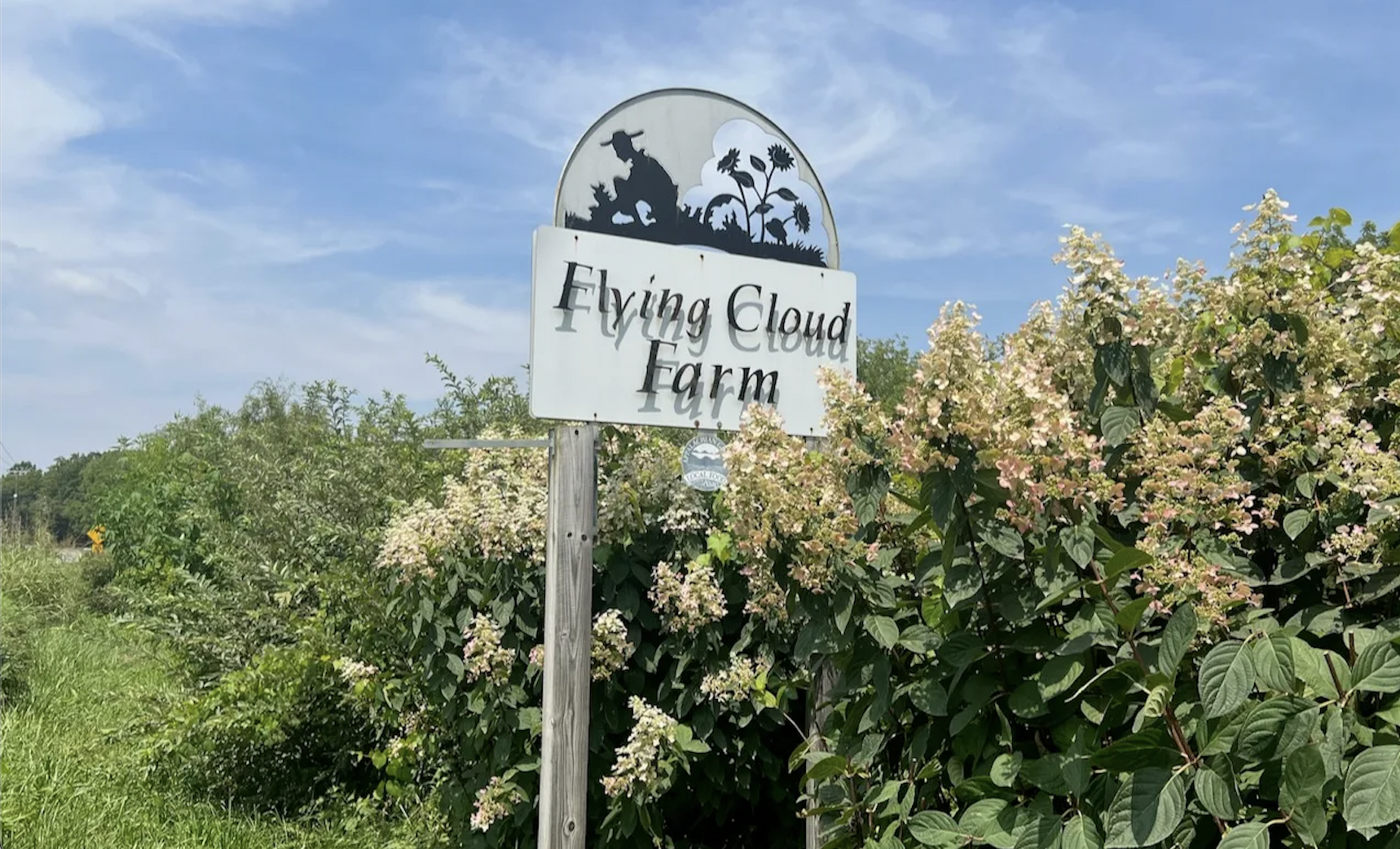 The Wedding Website of Abhi Kumar and Stefanny Diaz