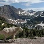 Glacier National Park
