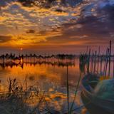 Parque Natural de la Albufera