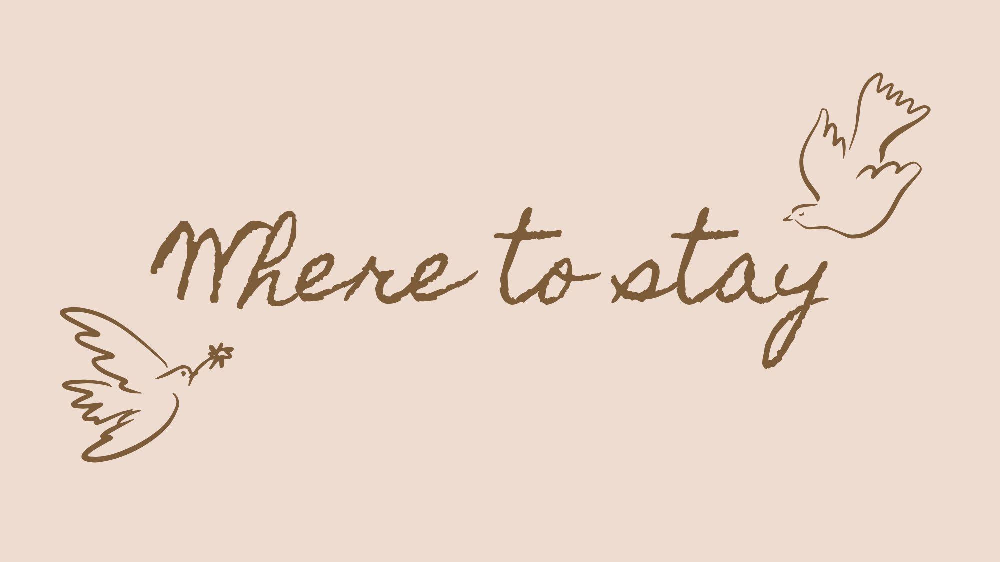 The Wedding Website of Aidynn Ballard and Kris Zee