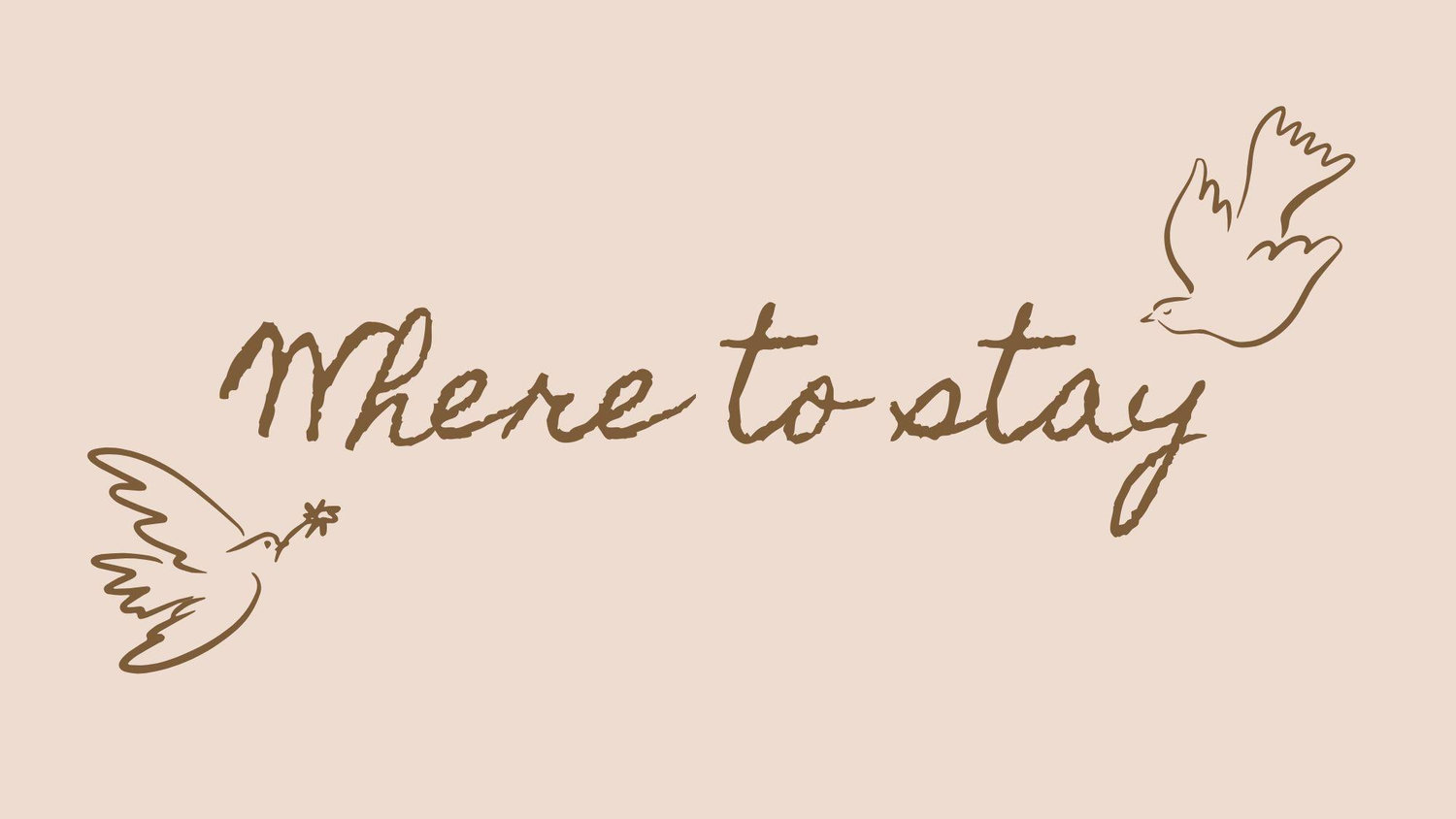 The Wedding Website of Aidynn Ballard and Kris Zee