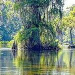 Wakulla Springs