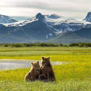 Honeymoon Adventures