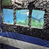 East Idaho Aquarium