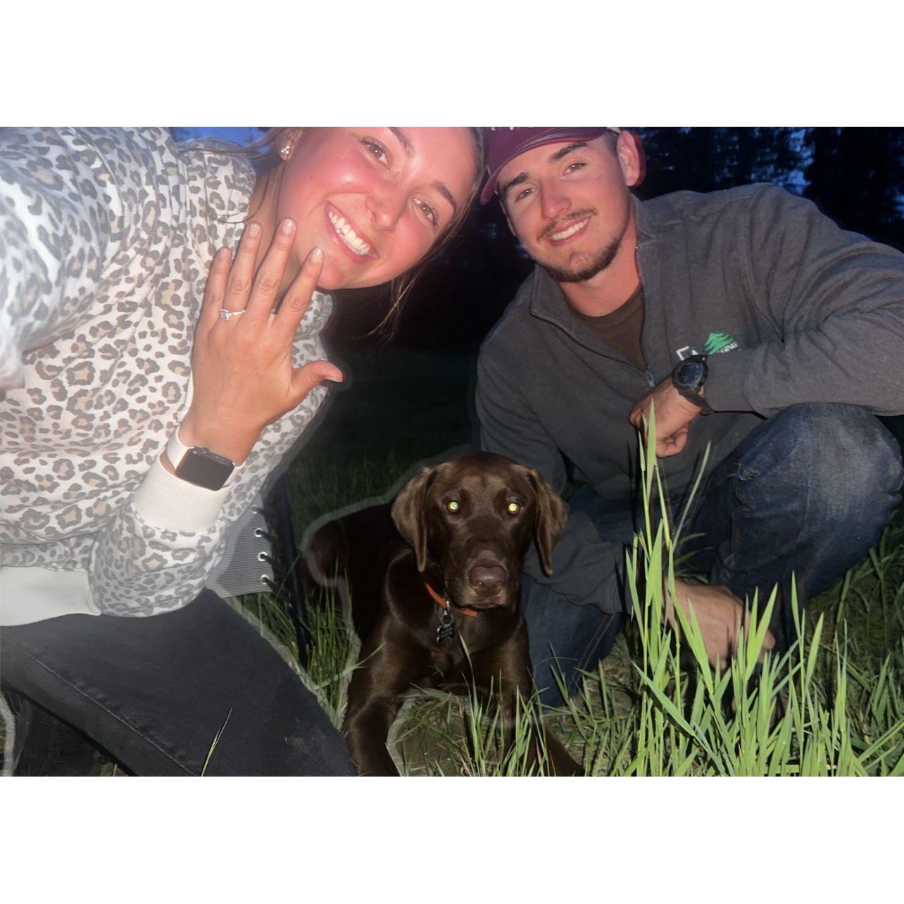 The BIG night of the proposal with our Knoxy guy!