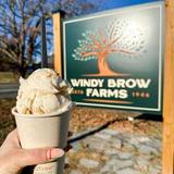 Windy Brow Farms