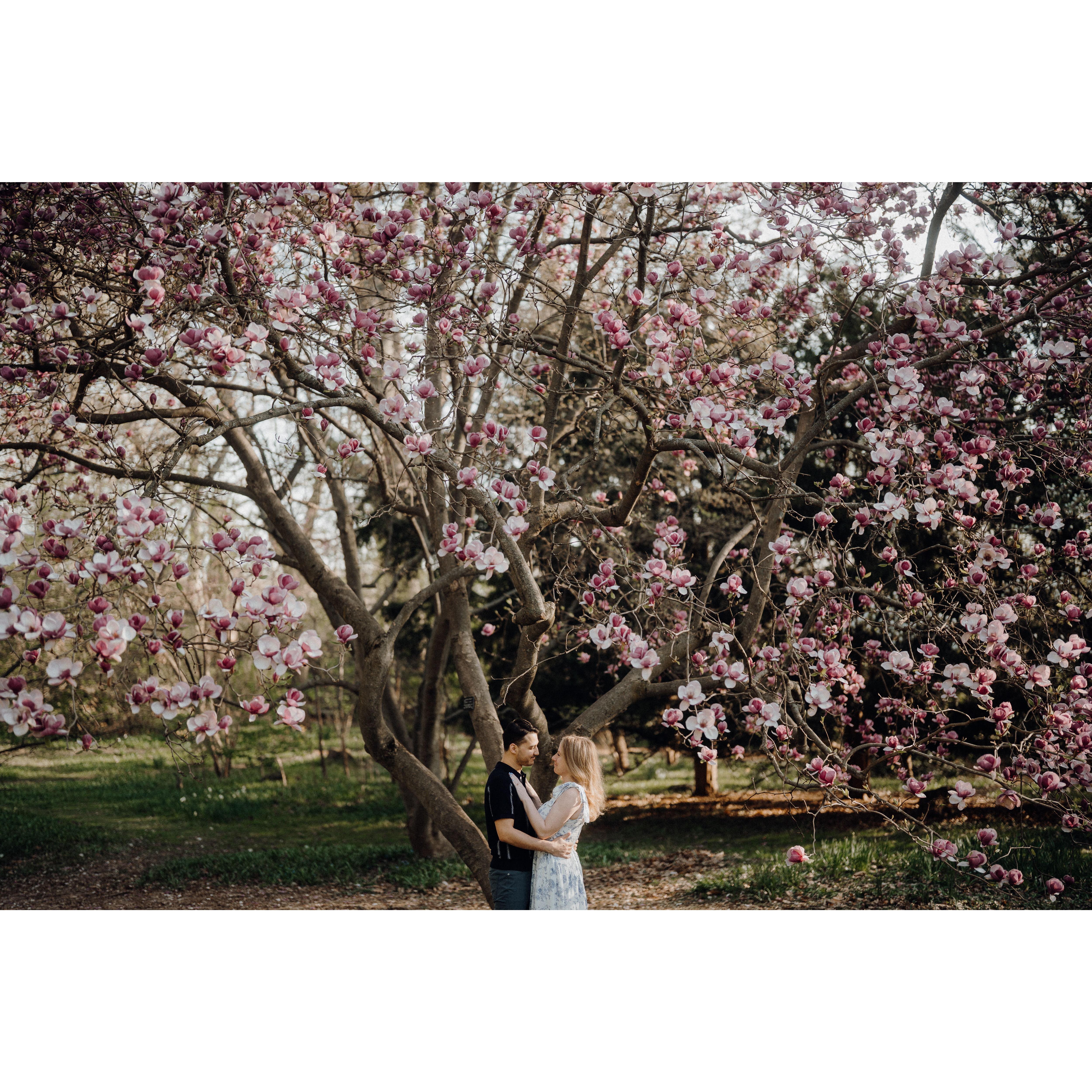 Our engagement shoot at Highland Park! Highland Park holds a special place in our hearts, as our first apartment is across the street. We spent a lot of time in this park in 2020 and beyond.