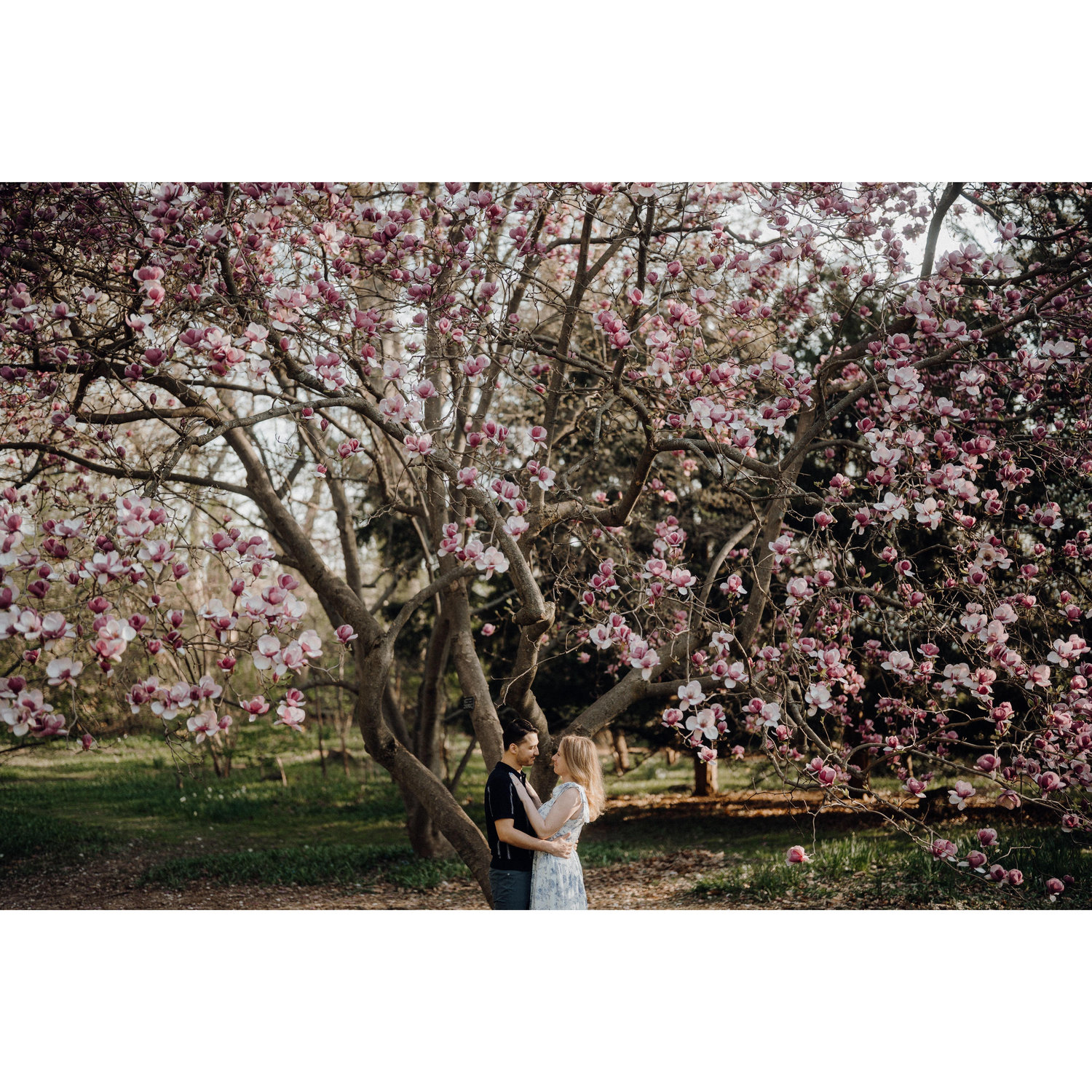 Our engagement shoot at Highland Park! Highland Park holds a special place in our hearts, as our first apartment is across the street. We spent a lot of time in this park in 2020 and beyond.