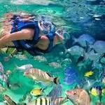 Xel-ha 24