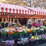Marché Aux Fleurs Cours Saleya