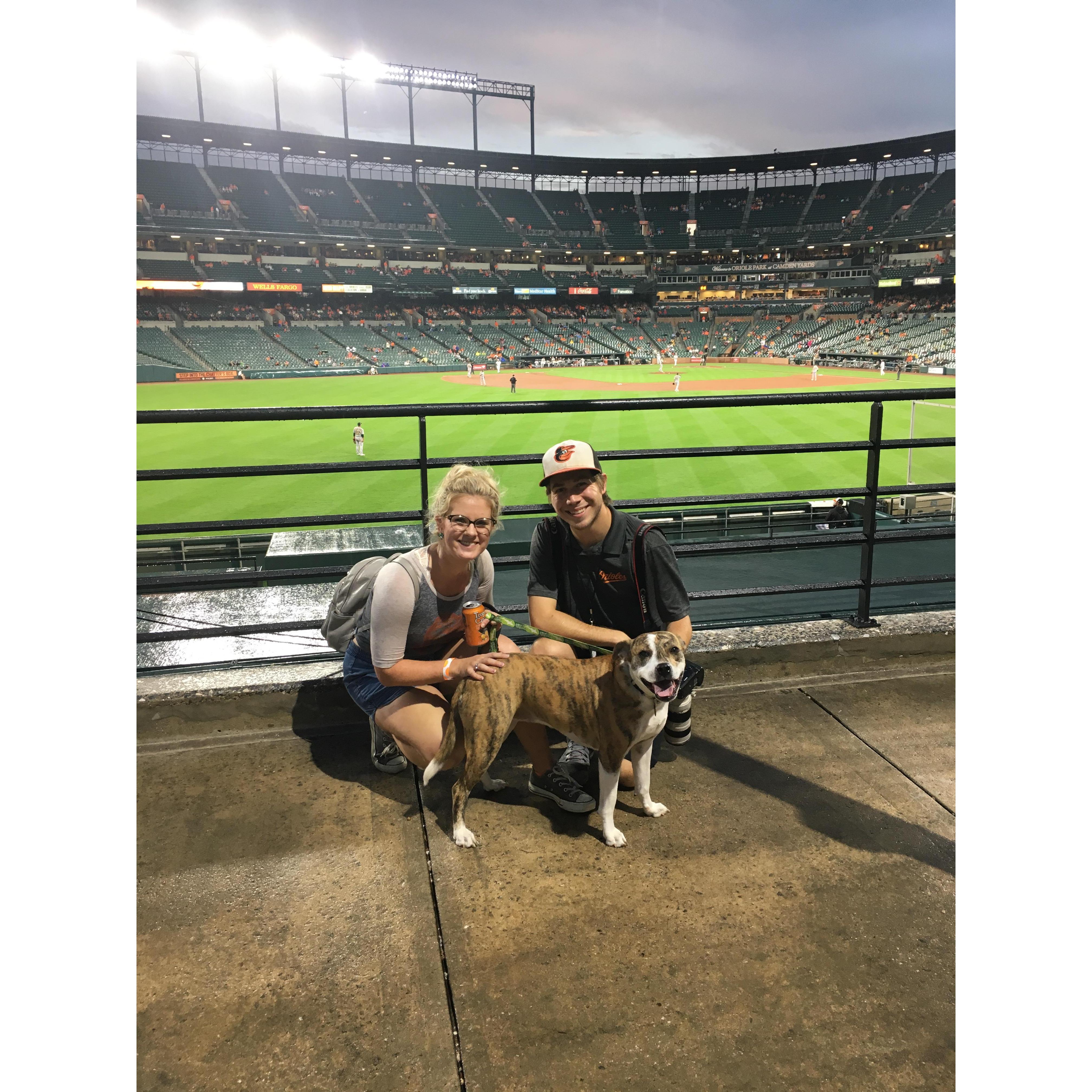 Bark at the park with our dog, Callie!