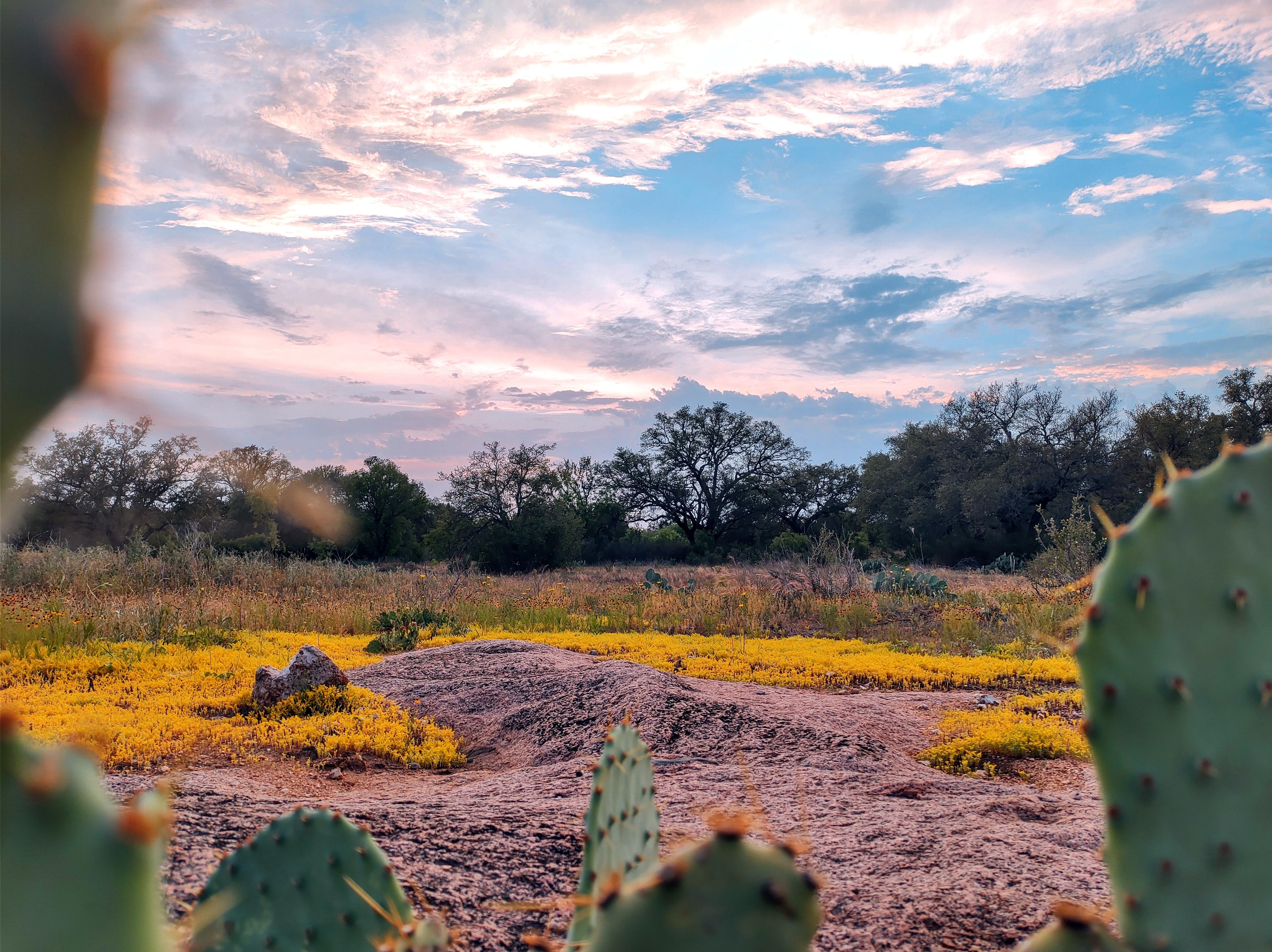 The Wedding Website of Angela Arnold and Chris Weaver