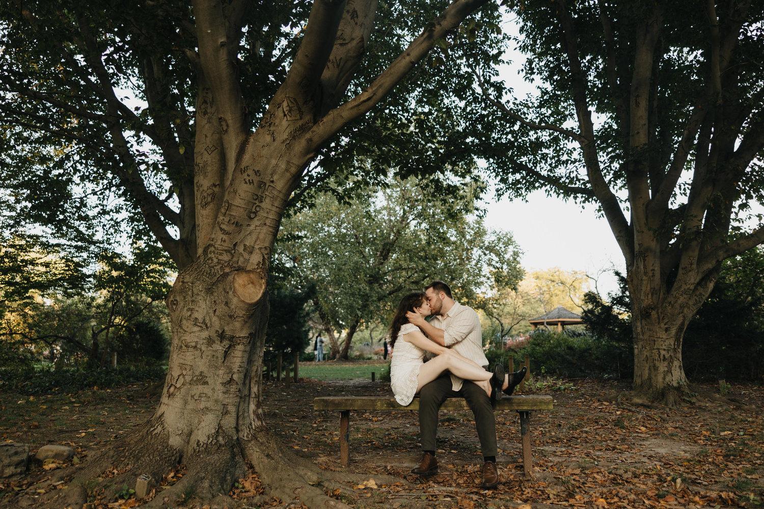 The Wedding Website of Logan Summers and Samantha Disney
