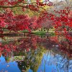 Gibbs Gardens