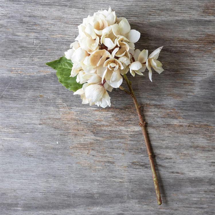 Abigail Ahern, Hydrangea Morning Mist Stem, Set of 7 | Zola