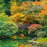 Portland Japanese Garden