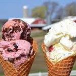 MOOmers Homemade Ice Cream