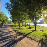 Schuylkill River Park