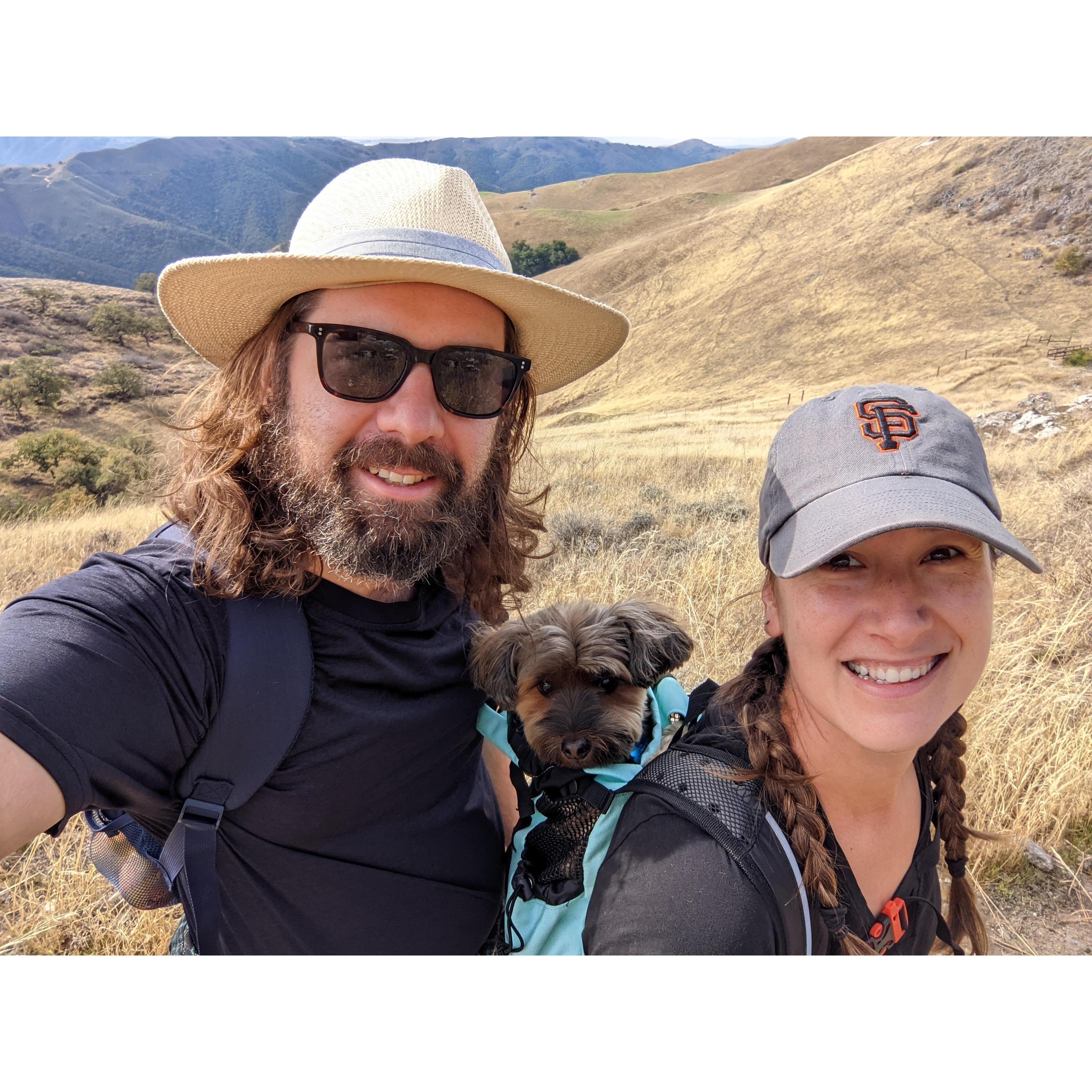Hiking at Fremont Peak State Park. Fun fact, we saw a tarantula while on this trail!