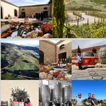 Private Wine Tasting Experience including Buffet Lunch or Afternoon Buffet