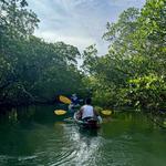 Get Up and Go Kayaking