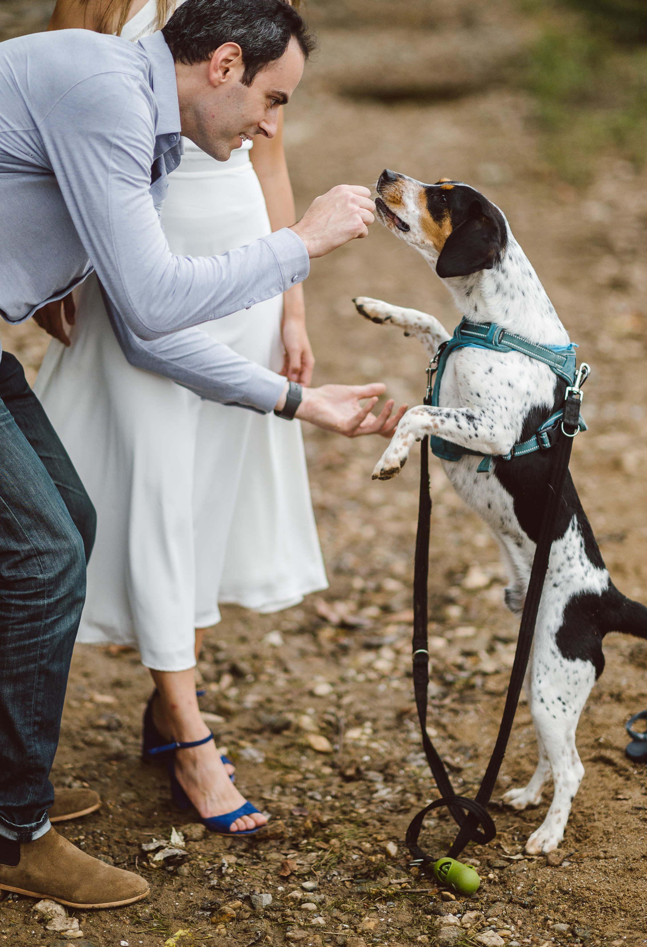 The Wedding Website of June Yu and Clark Britan