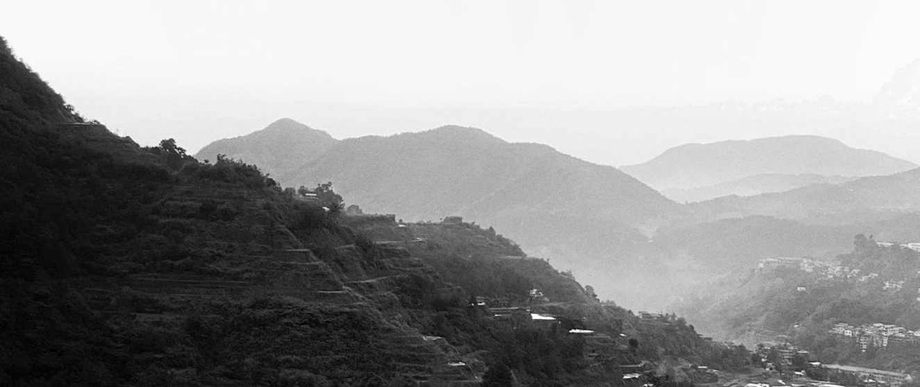 752d92d8-cb13-4012-adf2-4cb05d80569a