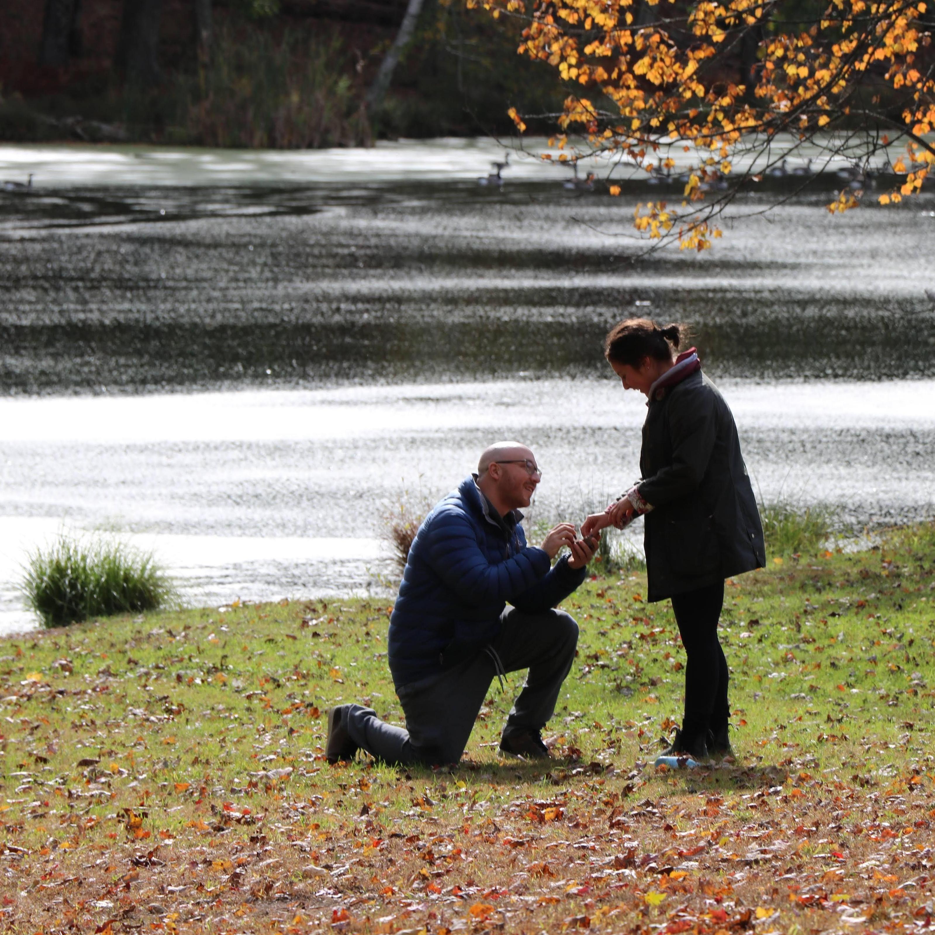 The Proposal