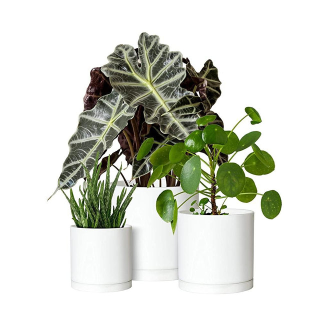 Set of 3 Minimalist Small 4" 5" 6" Cylinder Plastic Planter Pots with Drainage Hole and Seamless Saucers, White Color