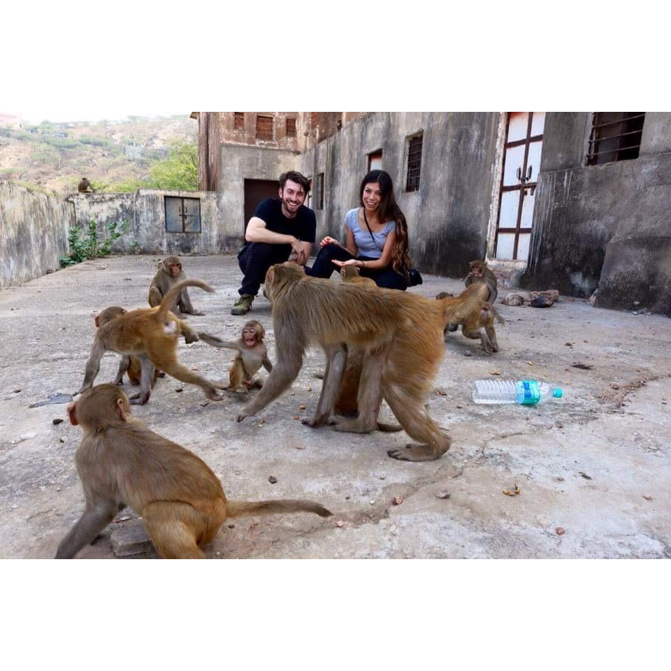 Feeding peanuts to monkeys in India.