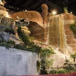 Arizona Museum of Natural History