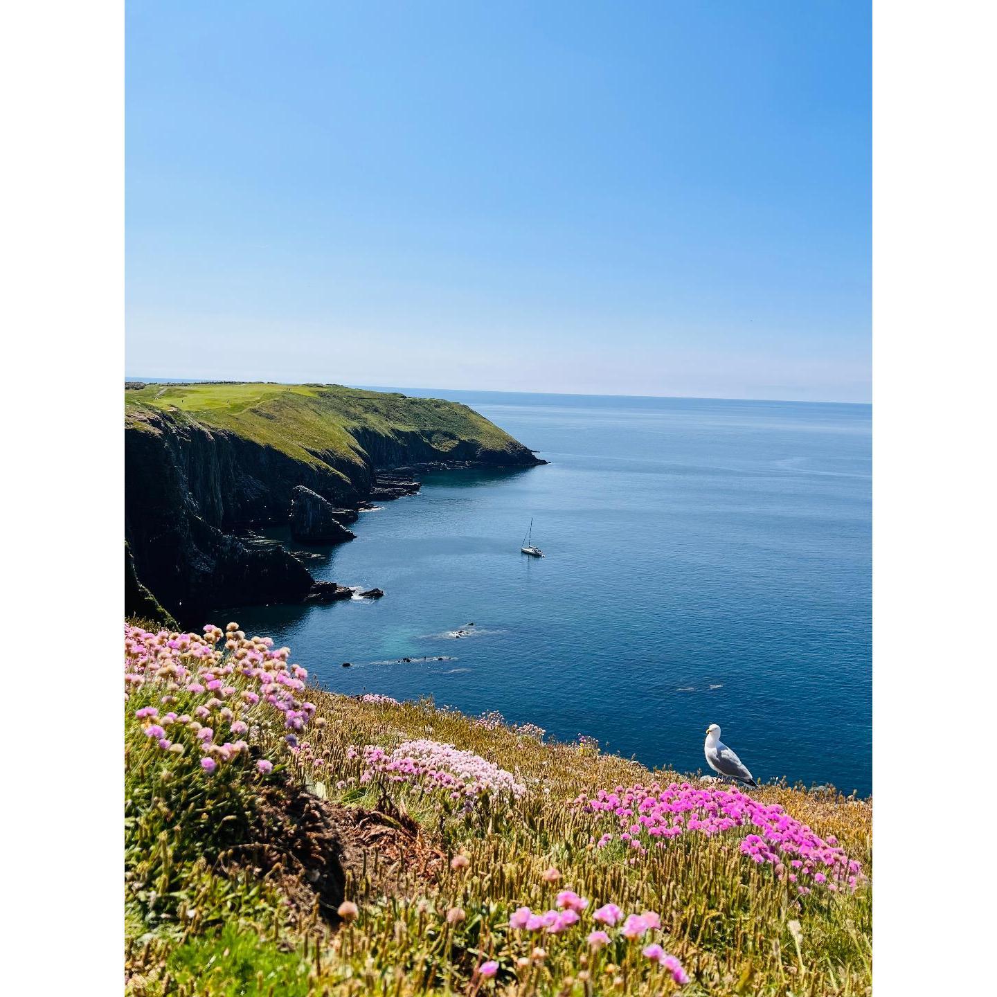 cliffs on the west coast of Ireland