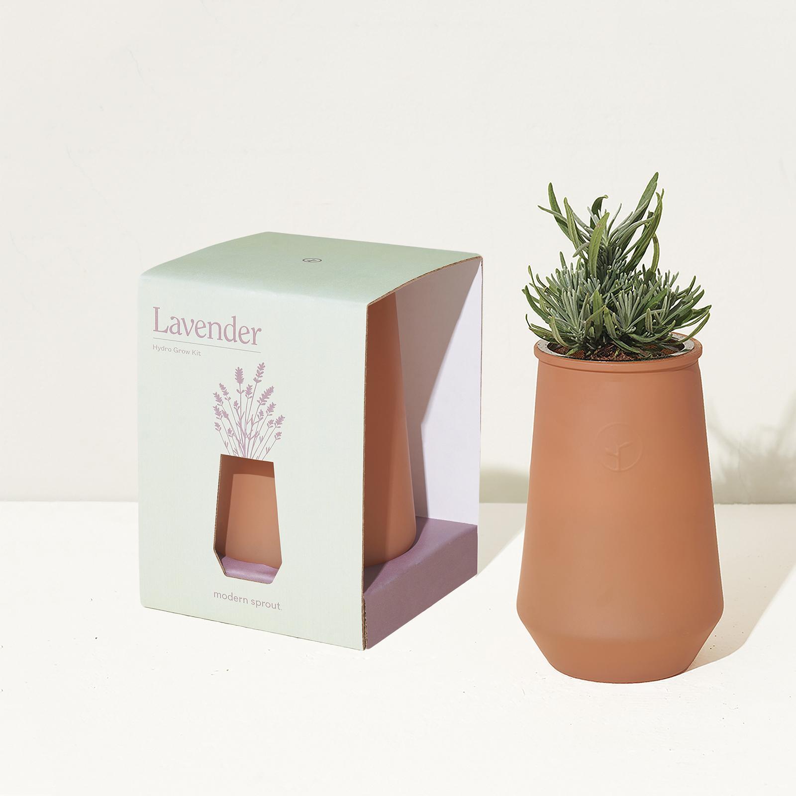 Modern Sprout, Tapered Tumbler Glow Kit | Zola