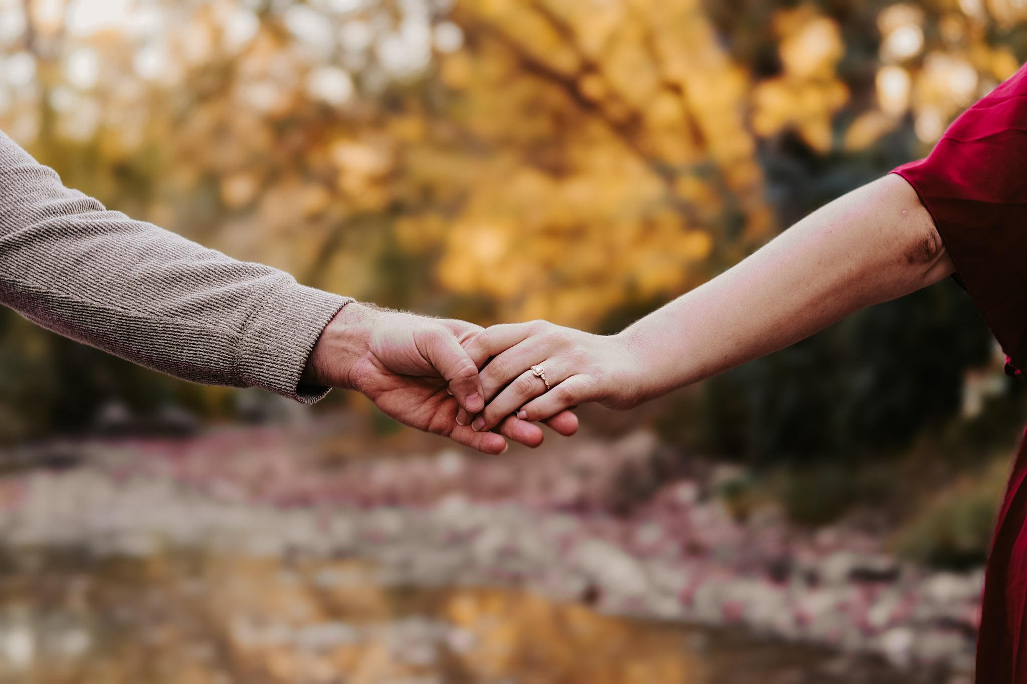 The Wedding Website of Lindsey McNeely and Thomas Reynolds