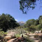 Santa Barbara Botanic Garden