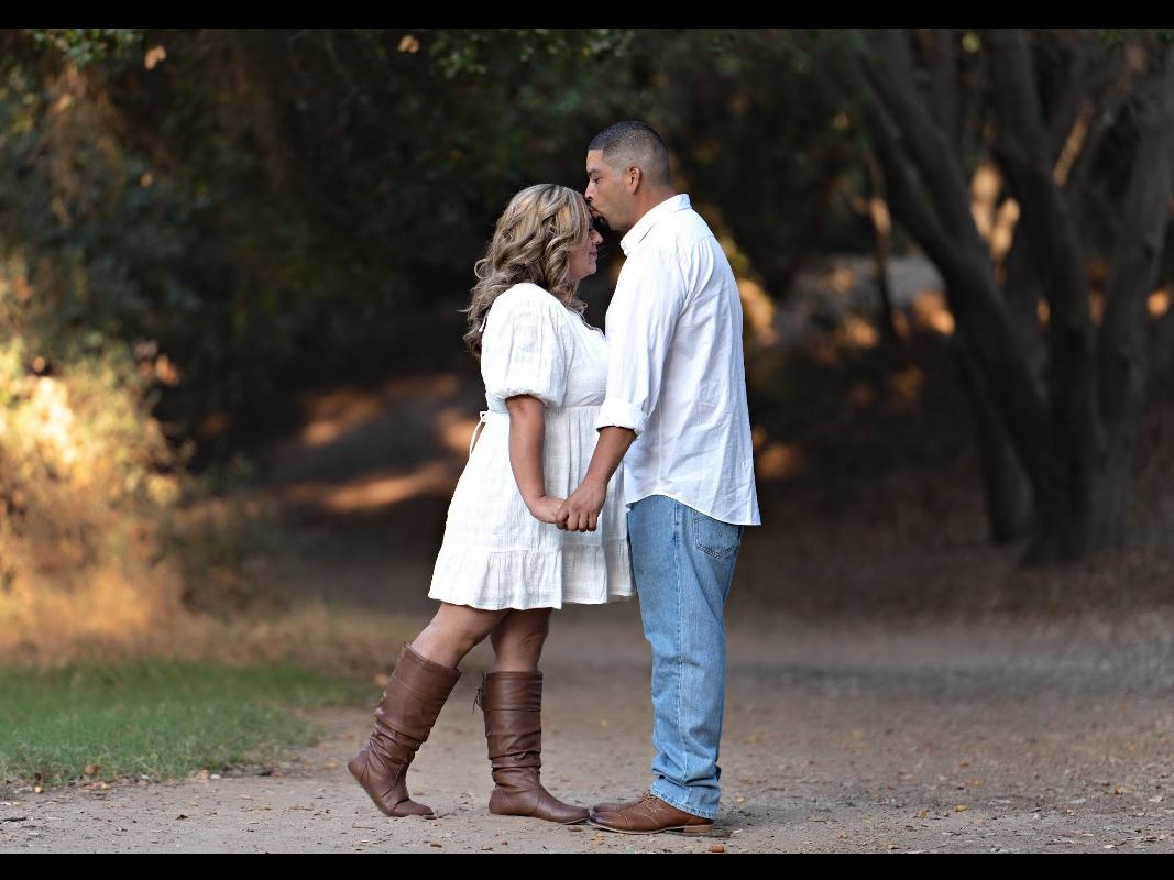 753b7fd5-c1a0-45e7-9dd1-28e7ba24e84a