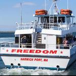 Freedom Cruise Line