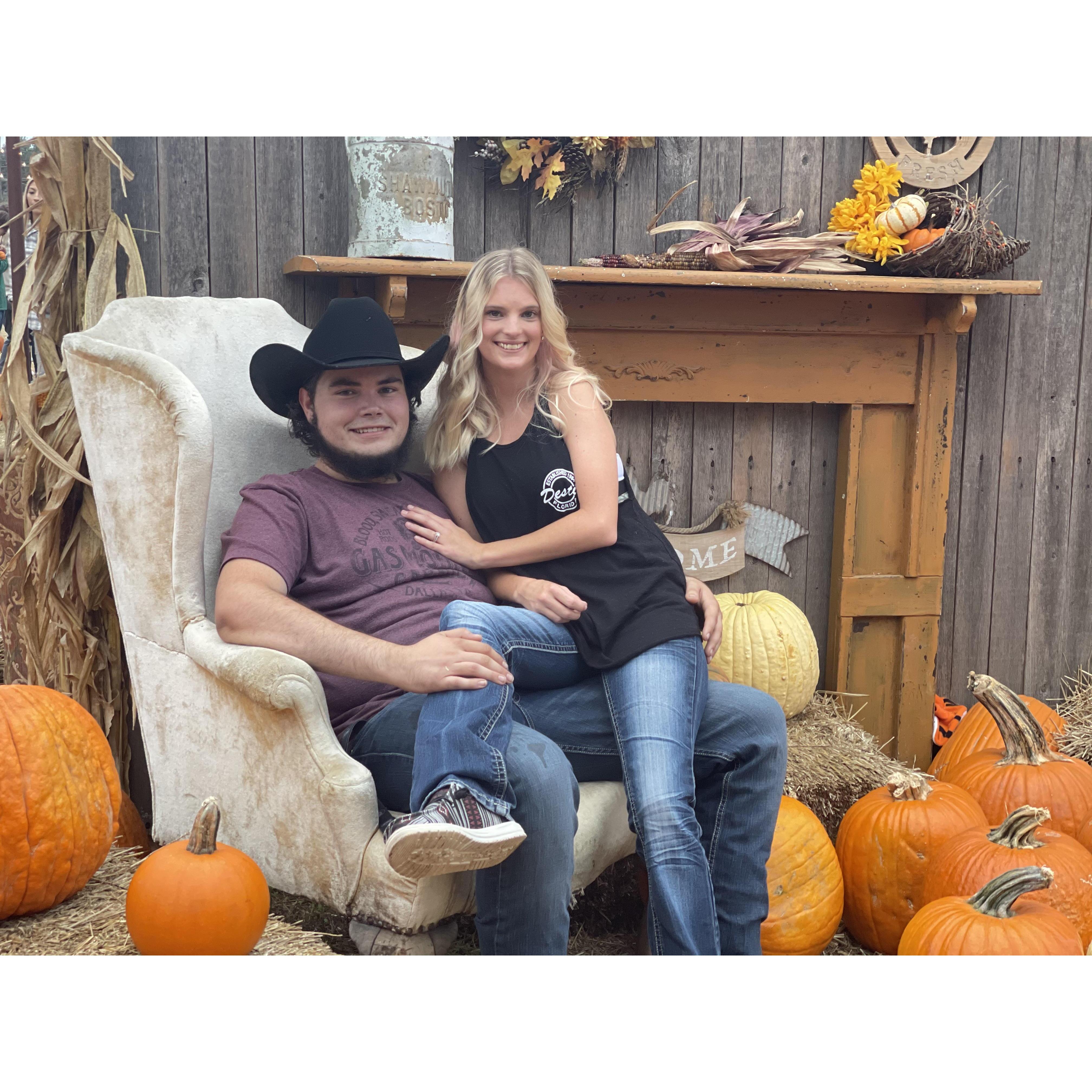 2021 pumpkin patch