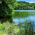 Radnor Lake