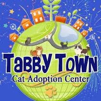 A Donation to Tabby Town Cat Adoption Center