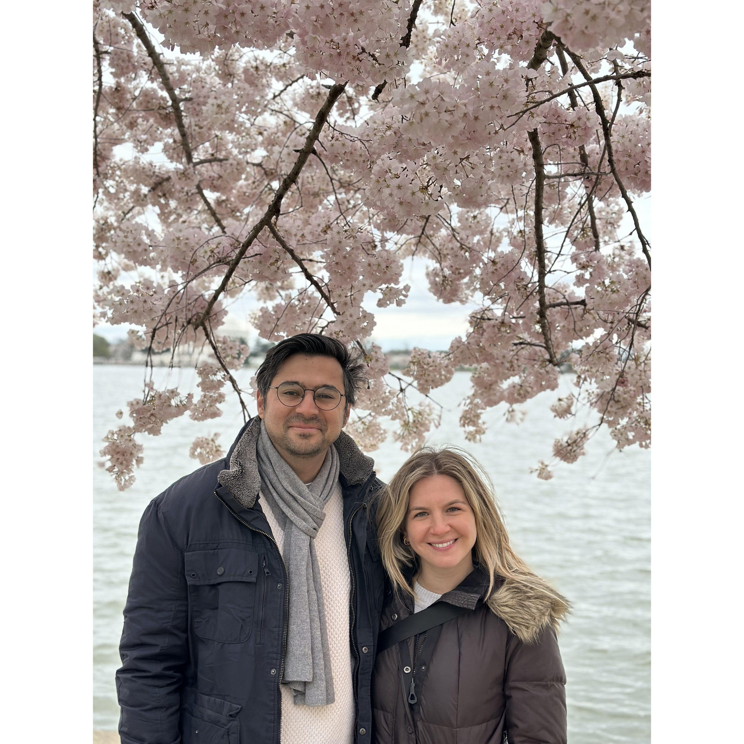 Seeing the Cherry Blossoms - Washington, DC