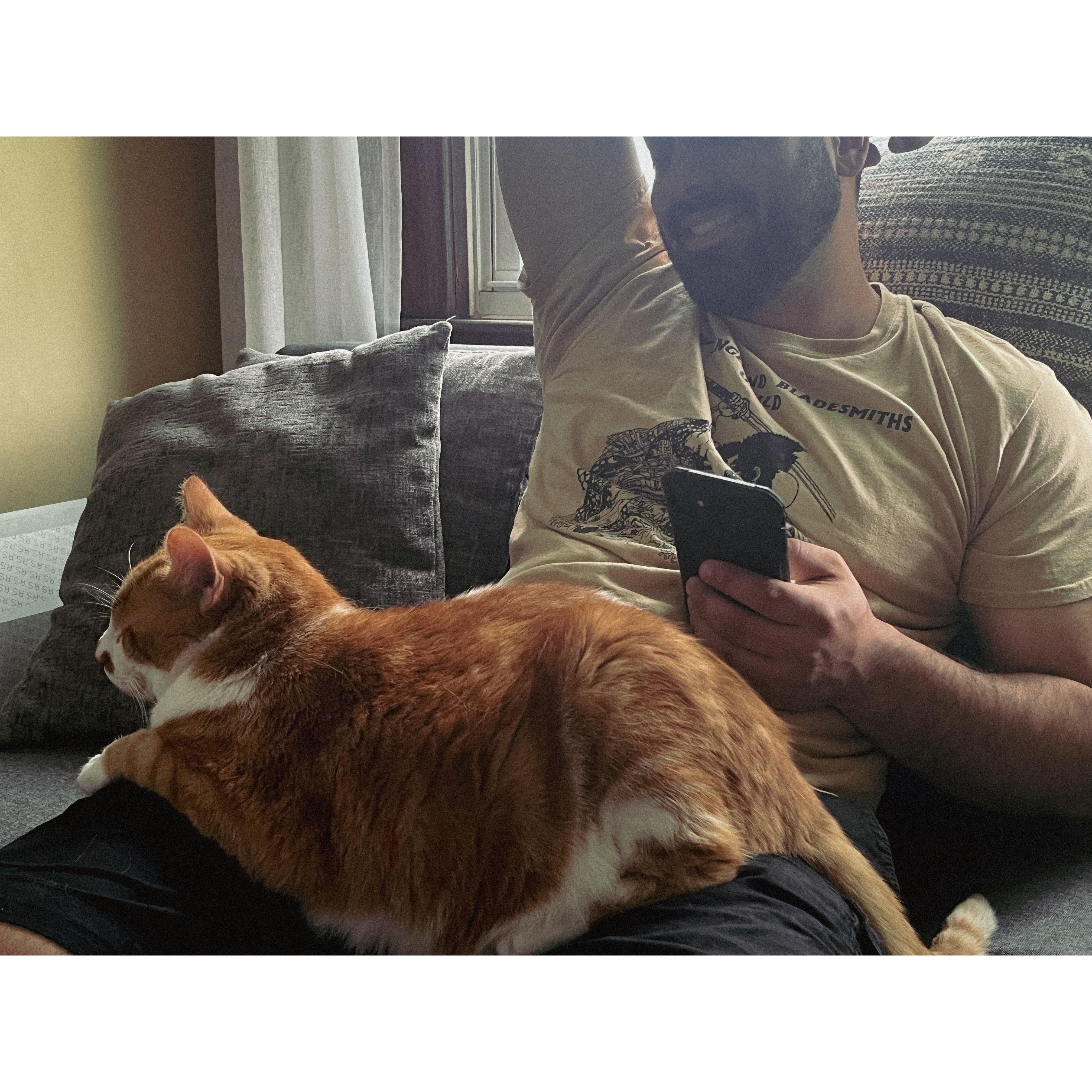 Beanie melts easily in anyone’s lap.