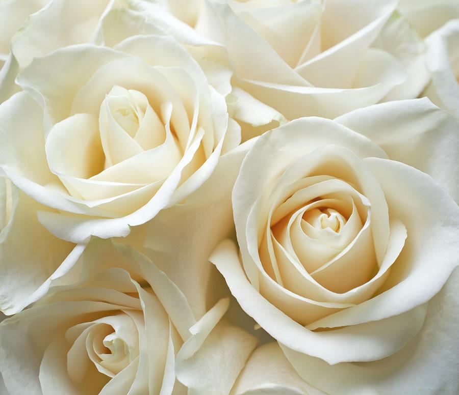 The Wedding Website of Yoselin M Luna and Renan R Rodriguez