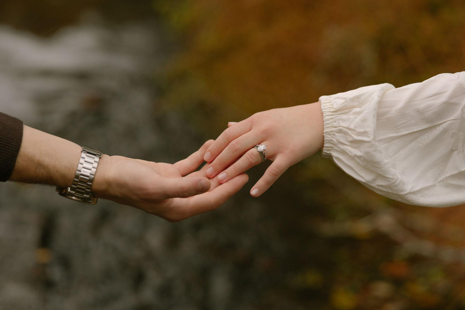 The Wedding Website of Michael Lindgren III and Emmalyhn Bogoslova